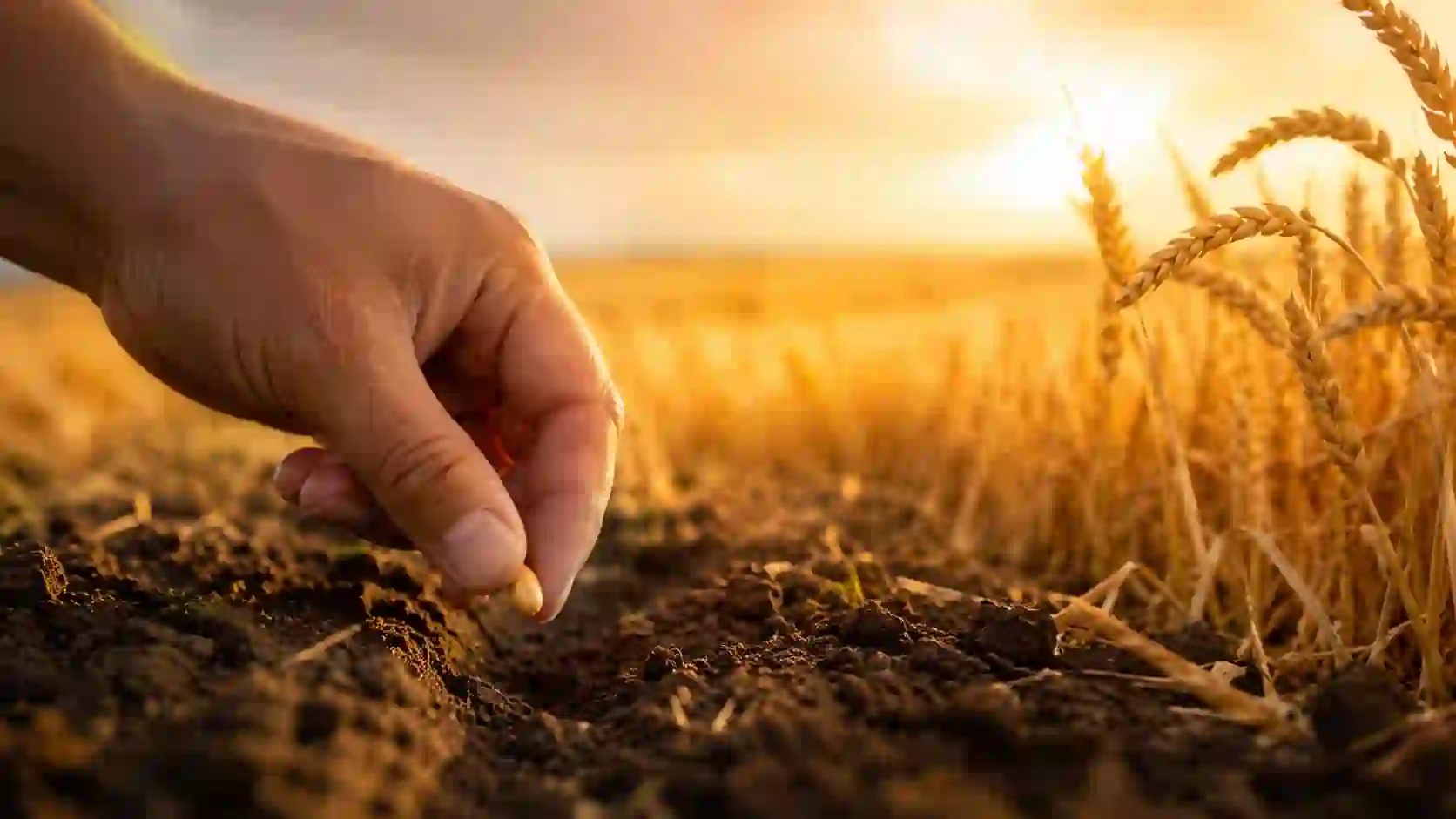 reap what you sow meaning